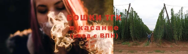 стаф Белоозёрский